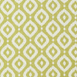 Clarke & Clarke SORAYA APPLE Fabric