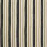 Clarke & Clarke ZIBA CHARCOAL/OCHRE Fabric