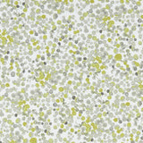 Clarke & Clarke LUGAR CHARTREUSE Fabric