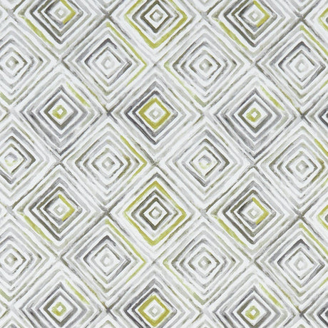 Clarke & Clarke OTIS CHARTREUSE/CHARCOAL Fabric