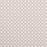 Clarke & Clarke ARIYANA BLUSH Fabric
