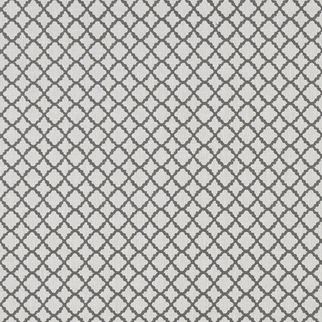 Clarke & Clarke ARIYANA CHARCOAL Fabric