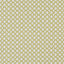 Clarke & Clarke ARIYANA CHARTREUSE Fabric