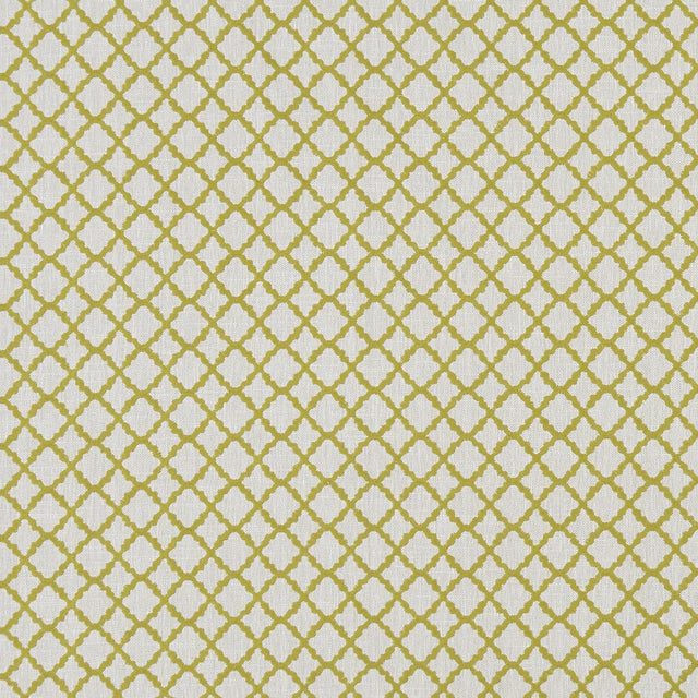 Clarke & Clarke ARIYANA CHARTREUSE Fabric