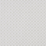 Clarke & Clarke ARIYANA IVORY Fabric