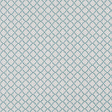 Clarke & Clarke ARIYANA MINERAL Fabric