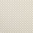 Clarke & Clarke ARIYANA NATURAL Fabric