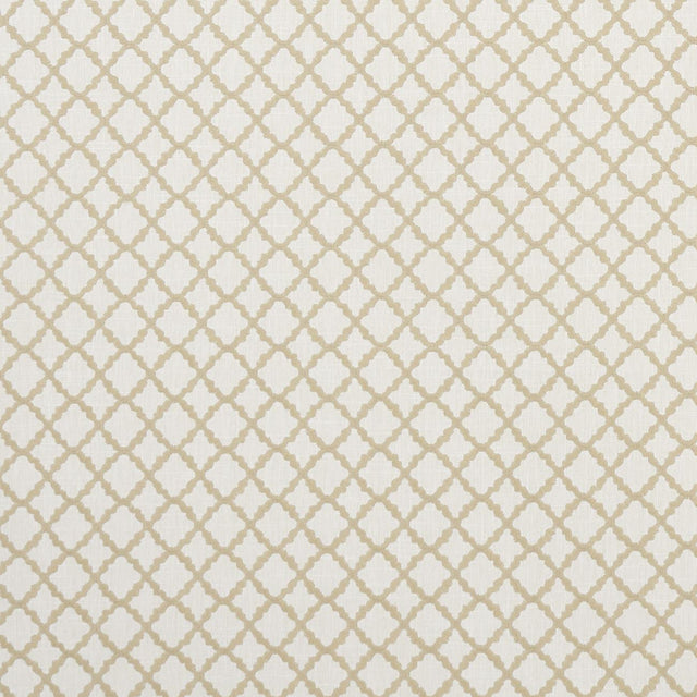 Clarke & Clarke ARIYANA NATURAL Fabric