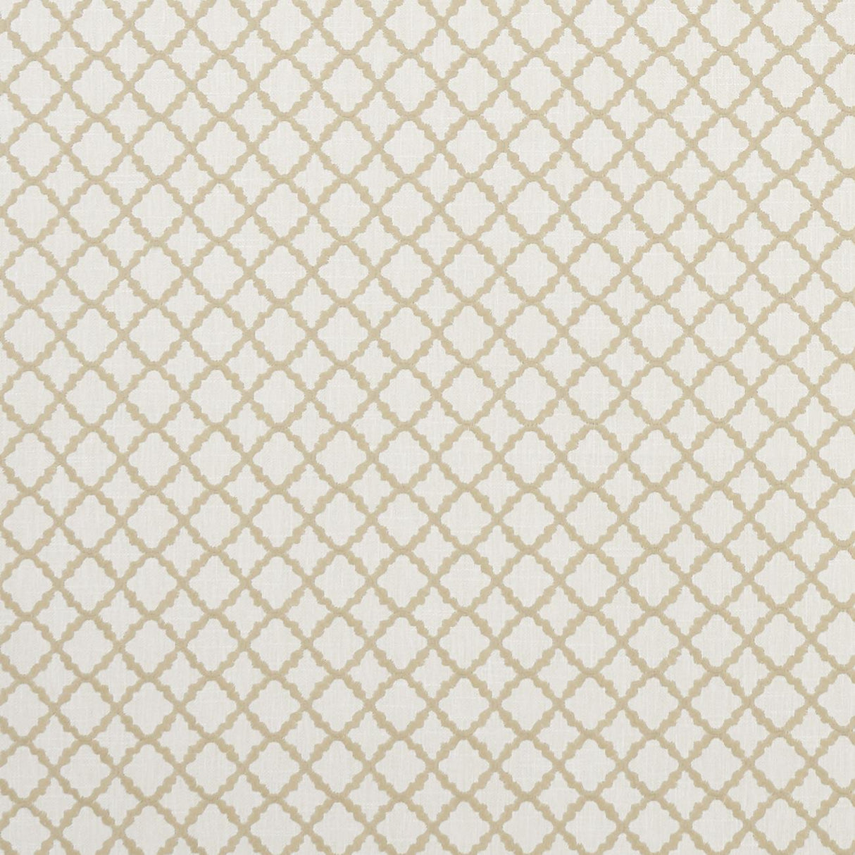 Clarke & Clarke ARIYANA NATURAL Fabric