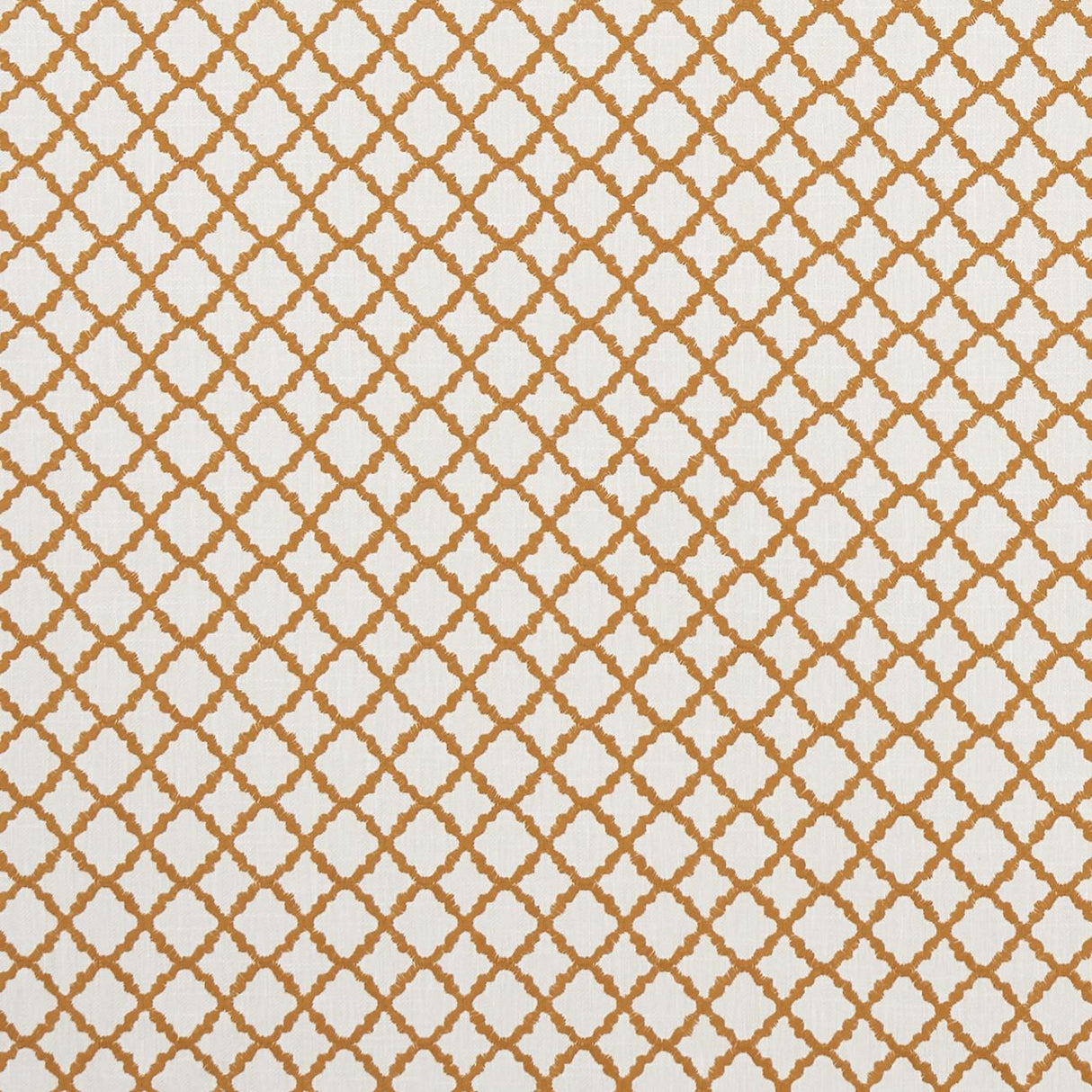 Clarke & Clarke ARIYANA SPICE Fabric