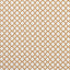 Clarke & Clarke ARIYANA SPICE Fabric