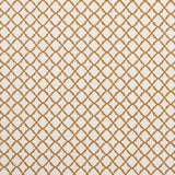 Clarke & Clarke ARIYANA SPICE Fabric