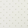 Clarke & Clarke ESTA CHAMPAGNE/IVORY Fabric