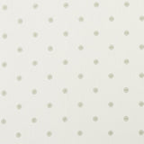Clarke & Clarke ESTA CHAMPAGNE/IVORY Fabric
