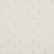 Clarke & Clarke ESTA CHAMPAGNE/LINEN Fabric