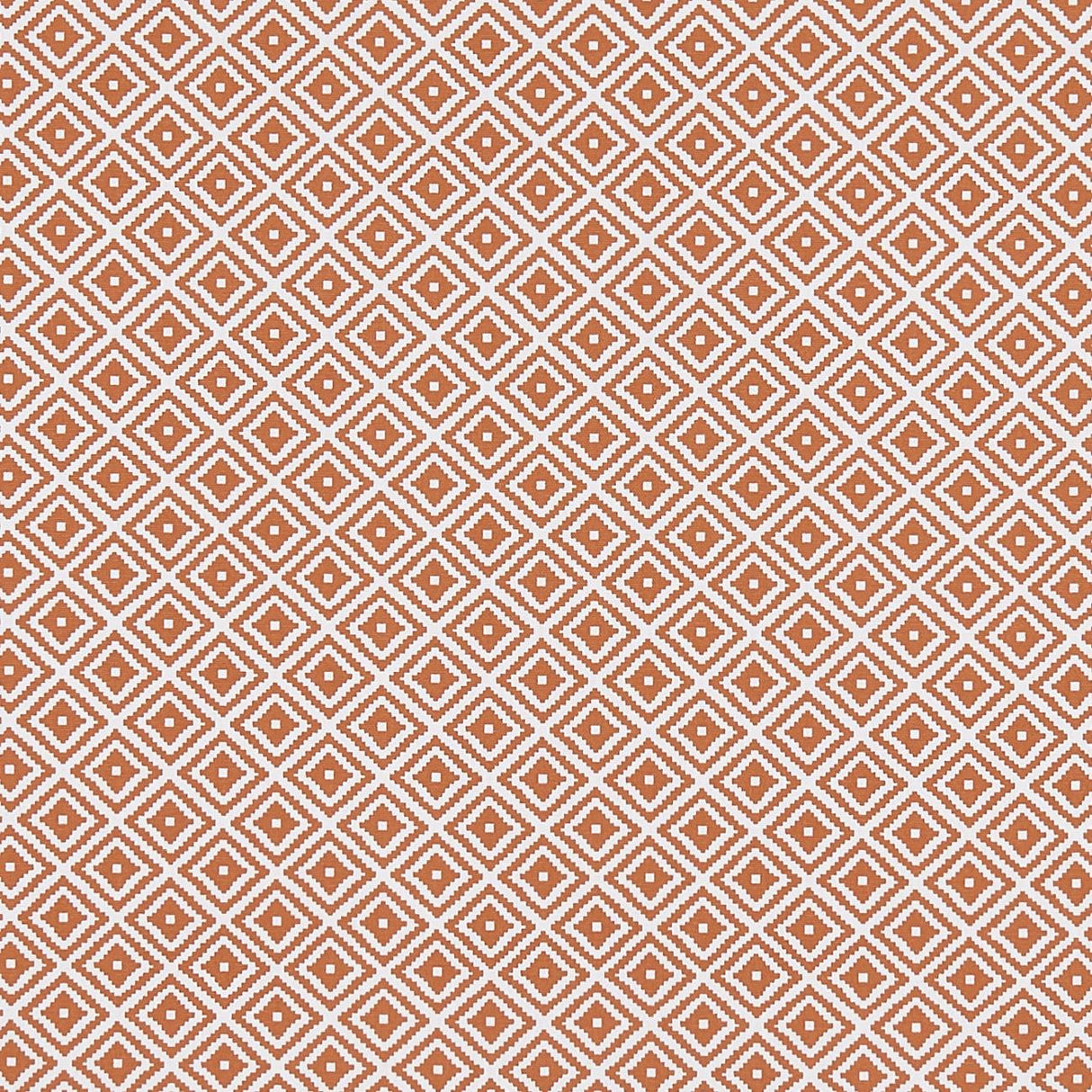 Clarke & Clarke KIKI SPICE Upholstery Fabric