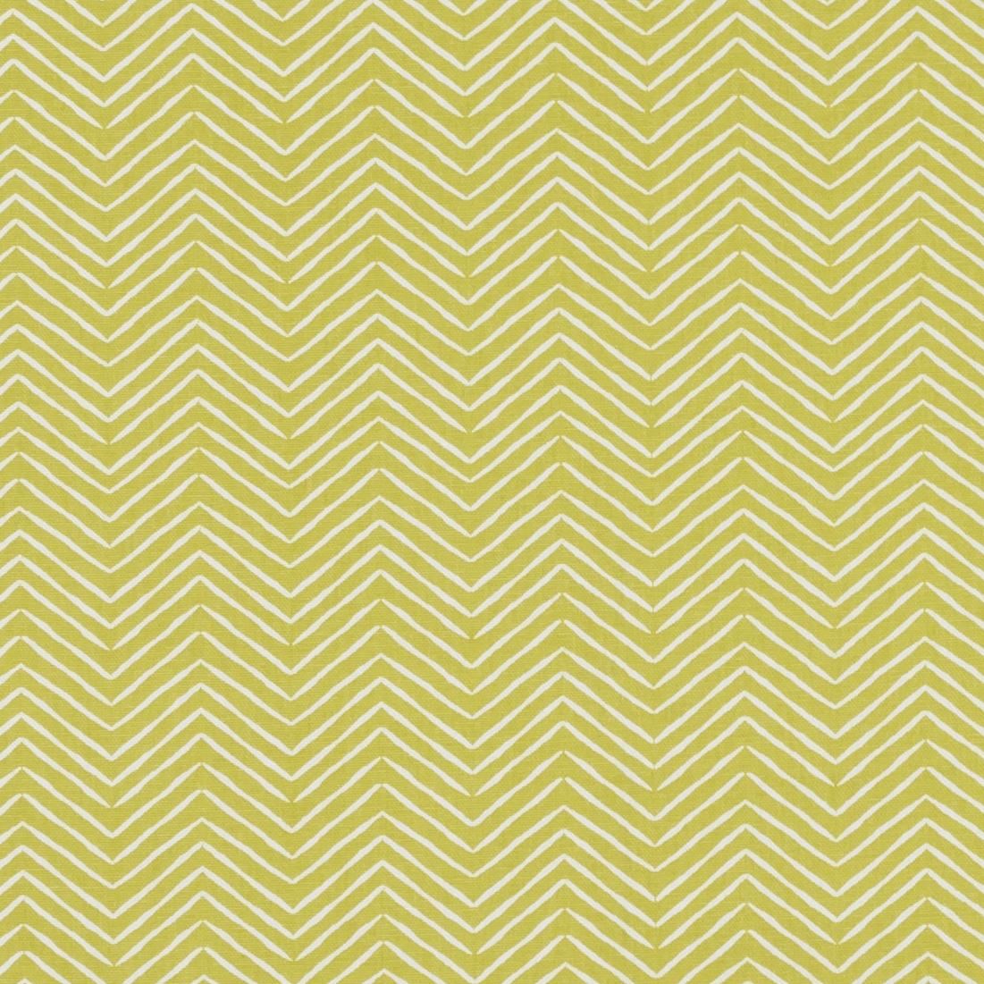Clarke & Clarke PICA CITRUS Upholstery Fabric