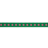 Schumacher Pink & Green Ladybird Tape