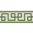 Schumacher Octavius Tape Green Trim