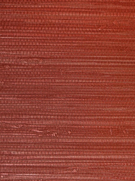 Scalamandre Pampas Red Ochre Wallpaper
