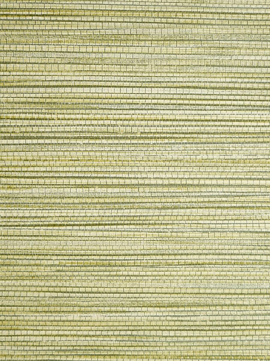 Scalamandre Willow Weave Grass Wallpaper
