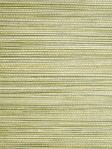 Scalamandre Willow Weave Grass Wallpaper