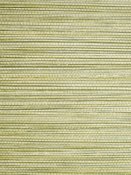 Scalamandre Willow Weave Grass Wallpaper