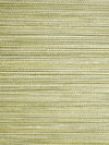 Scalamandre Willow Weave Grass Wallpaper