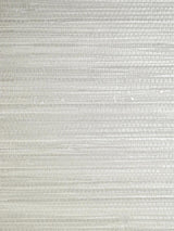Scalamandre Pampas Silver Wallpaper