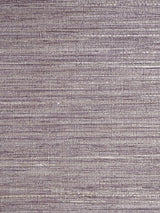 Scalamandre Feather Reed Smokey Amethyst Wallpaper