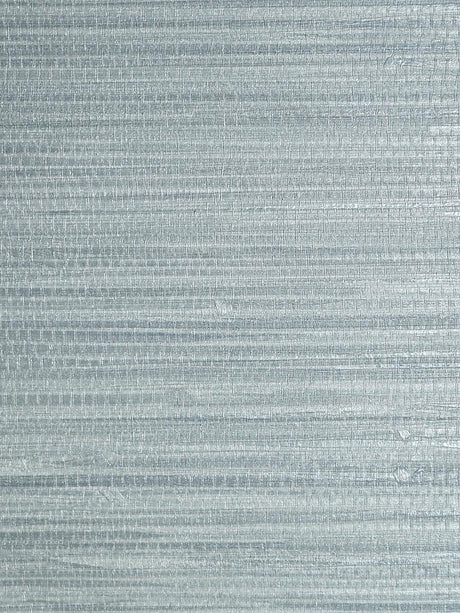 Scalamandre Pampas Chambray Wallpaper