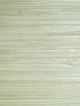 Scalamandre Pampas Seagrass Wallpaper