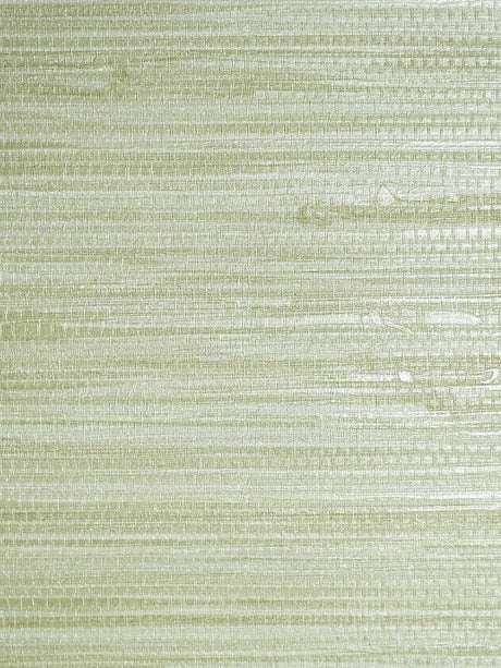 Scalamandre Pampas Seagrass Wallpaper