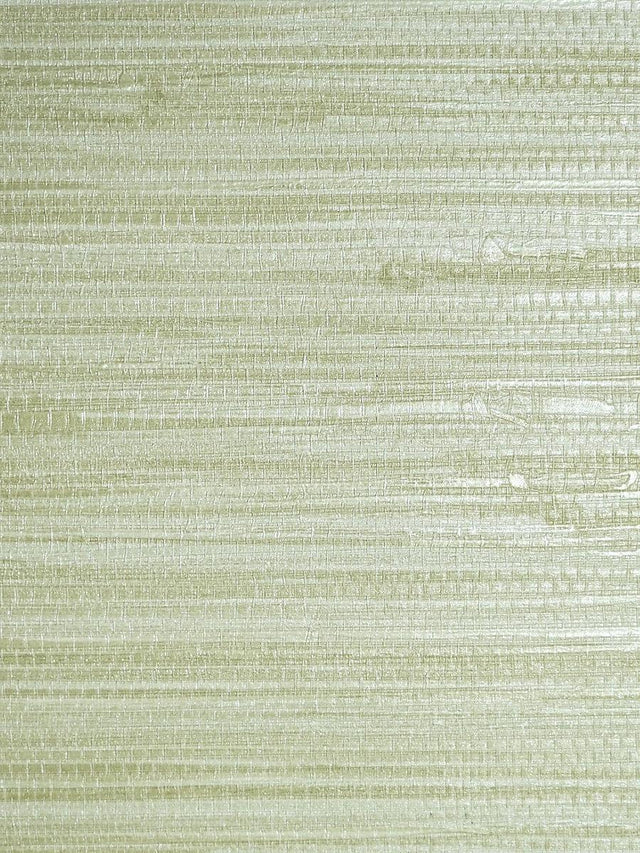 Scalamandre Pampas Seagrass Wallpaper