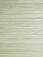 Scalamandre Pampas Seagrass Wallpaper