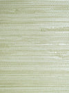 Scalamandre Pampas Seagrass Wallpaper