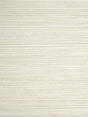 Scalamandre Willow Weave Pignoli Wallpaper