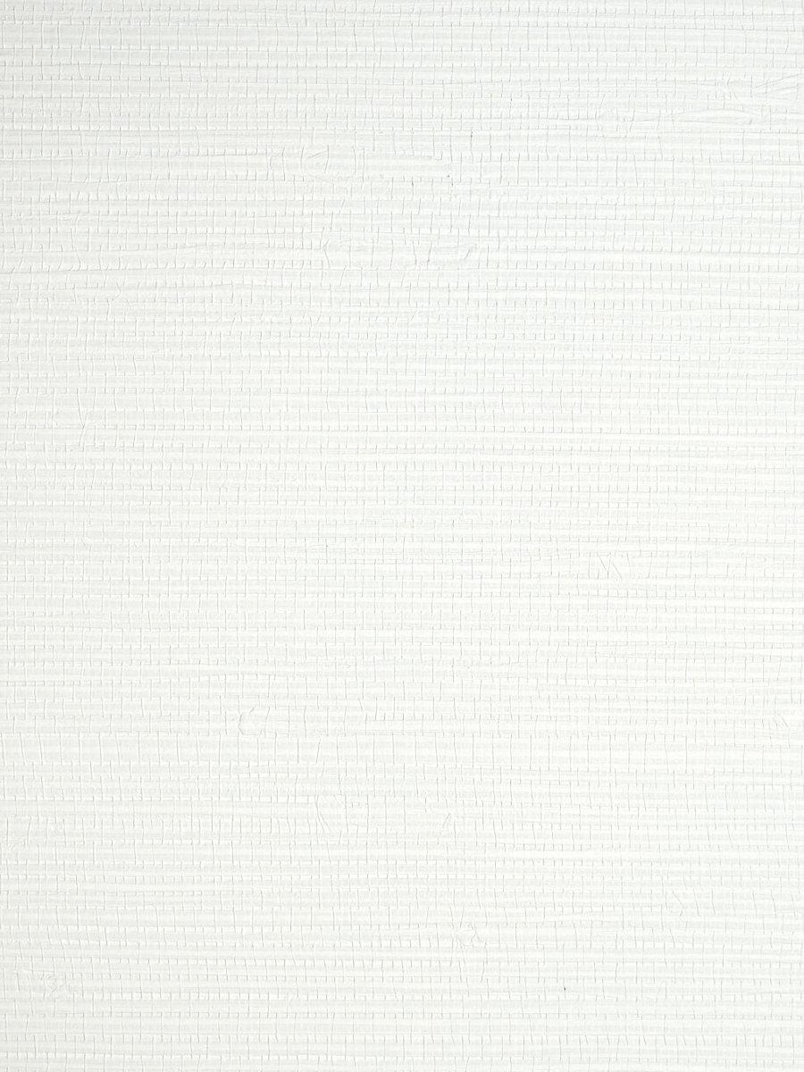 Scalamandre Savanna Seedling Froth Wallpaper