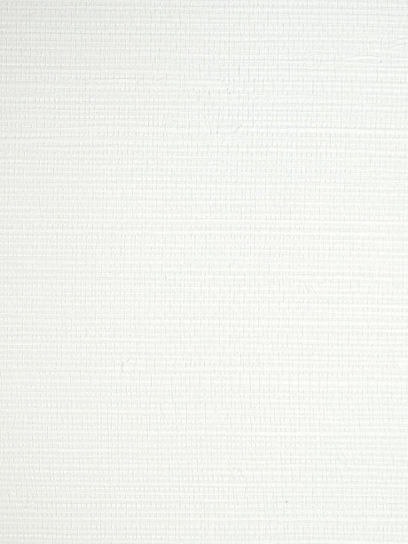 Scalamandre Savanna Seedling Froth Wallpaper