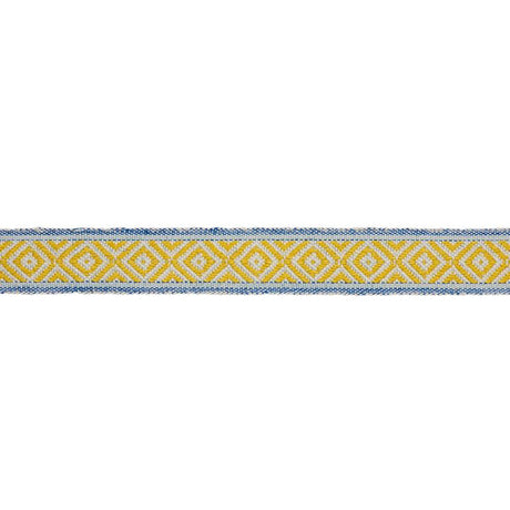 Schumacher Yellow & Blue Larson Handwoven Tape
