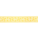 Schumacher Octavius Tape Yellow Trim