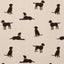 Clarke & Clarke ROVER LINEN Fabric