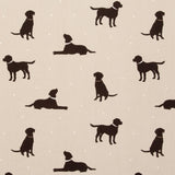 Clarke & Clarke ROVER LINEN Fabric