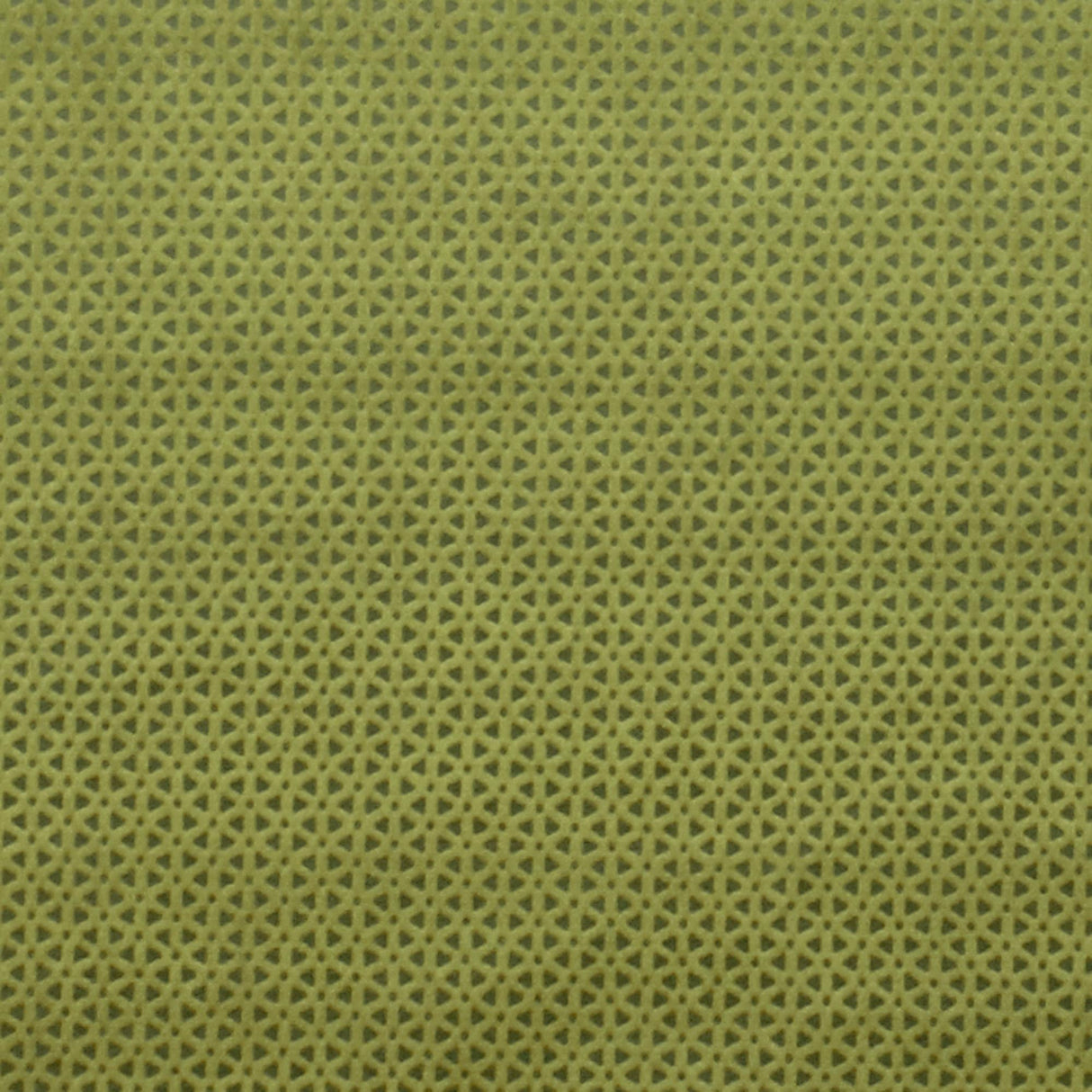 Clarke & Clarke LORETO OLIVE Fabric