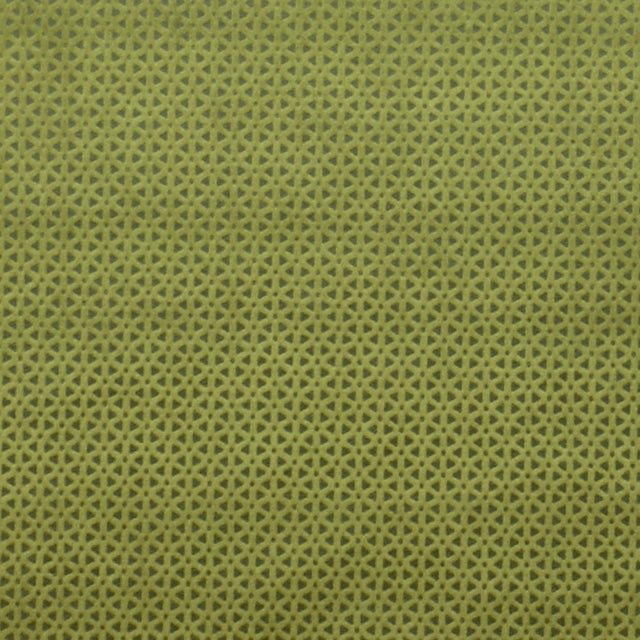 Clarke & Clarke LORETO OLIVE Fabric
