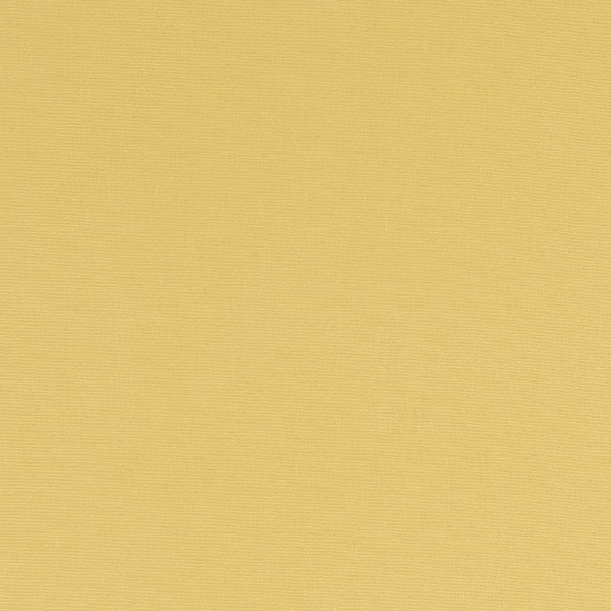 Clarke & Clarke ALORA BUTTERCUP Fabric