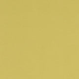 Clarke & Clarke ALORA CELERY Fabric