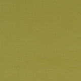 Clarke & Clarke ALORA CITRUS Fabric