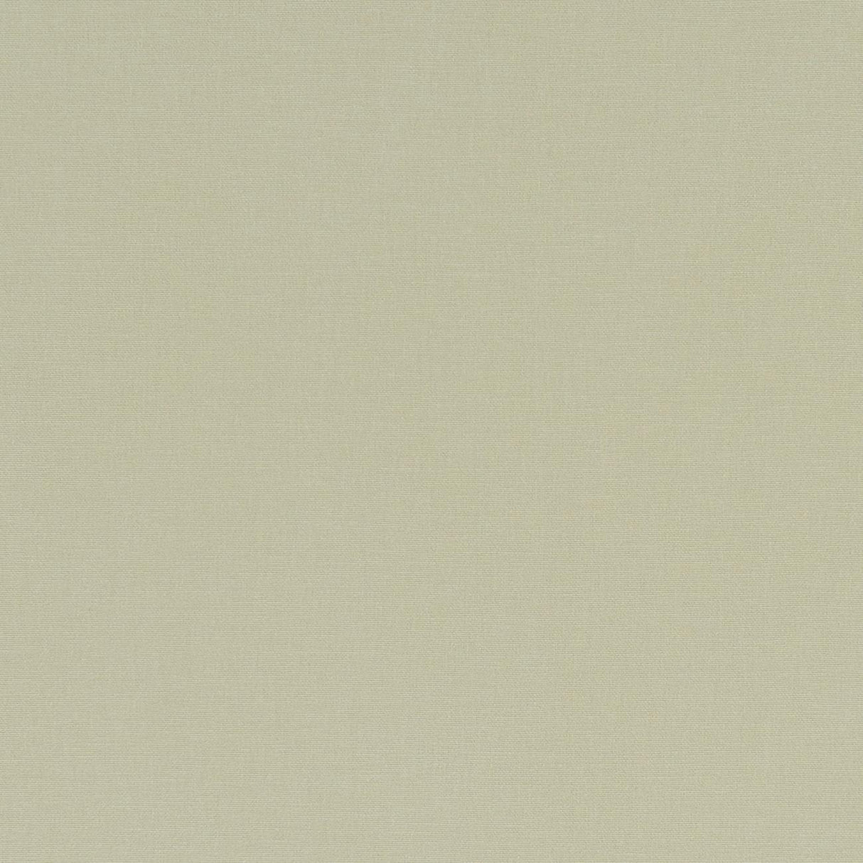 Clarke & Clarke ALORA HEMP Fabric