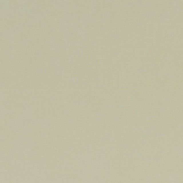 Clarke & Clarke ALORA HEMP Fabric